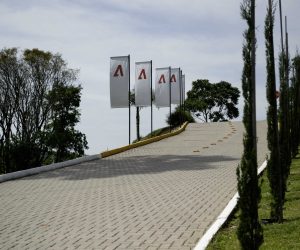 LOJA (56)-2